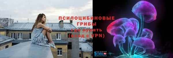 спиды Чита