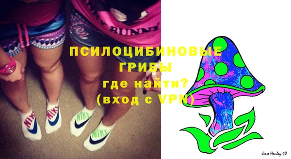 дурь Майский