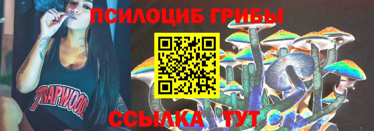 Псилоцибиновые грибы Magic Shrooms Зеленогорск